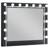 Cappola Black Rectangular Dresser Mirror with Light / CS-223364