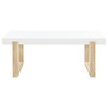 Pala Rectangular Coffee Table with Sled Base White High Gloss and Natural / CS-753398