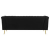 Holly 2-piece Tuxedo Arm Tufted Back Living Room Set Black / CS-508441-S2