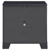 Cappola Rectangular 2-drawer Nightstand Silver and Black / CS-223362