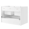 Render 30" Wall-Mount Bathroom Vanity Cabinet (Sink Basin Not Included) / EEI-4850