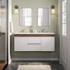 Render 48" Wall-Mount Bathroom Vanity / EEI-5802