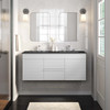 Render 48" Wall-Mount Bathroom Vanity / EEI-5802