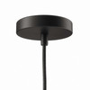 Skylark Pendant Light / EEI-5652