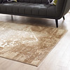 Rosina Distressed Vintage Medallion 5x8 Area Rug / R-1094-58