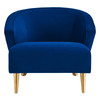 Odyssey Performance Velvet Armchair / EEI-5038