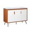 Energize 48" Bathroom Vanity / EEI-5806