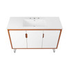 Energize 48" Bathroom Vanity / EEI-5806