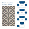 Cerelia Moroccan Trellis 9x12 Indoor and Outdoor Area Rug / R-1139-912