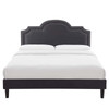 Aviana Performance Velvet King Bed / MOD-6844