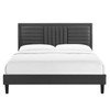 Sofia Channel Tufted Performance Velvet King Platform Bed / MOD-7011