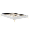 Adelaide Performance Velvet Queen Platform Bed / MOD-6580