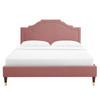 Adelaide Performance Velvet Queen Platform Bed / MOD-6581