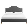 Adelaide Performance Velvet Queen Platform Bed / MOD-6581