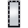 Zayan Full Length Floor Mirror With Lighting Black High Gloss / CS-969557