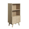 Render Display Cabinet Bookshelf / EEI-6229