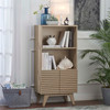 Render Display Cabinet Bookshelf / EEI-6229