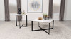 Tobin Square Marble Top Coffee Table White and Black / CS-707698