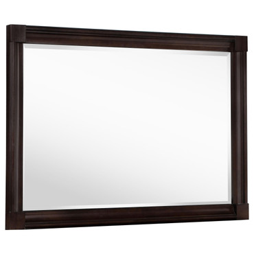 Andover Dresser Mirror Dark Oak / CS-223634