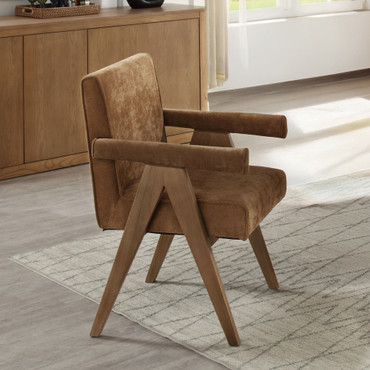 Zoey Arm Chair (Set-2) / DN04077