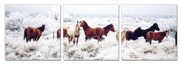 Mustangs 3-Panel Photo On Canvas / VGSCSB-6999ABC