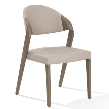 Arlo - Mid-Century Beige & Grey Ash Dining Chair (Set of 2) / VGCSCH-1488-BGEGRY