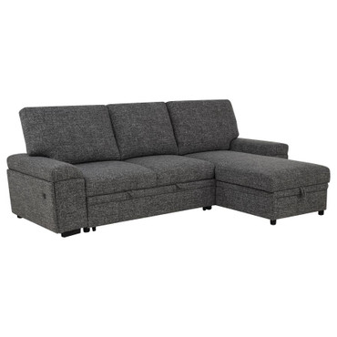 Demko Sleeper Sectional Sofa with Speaker and Storage Chaise Granite / CS-500355