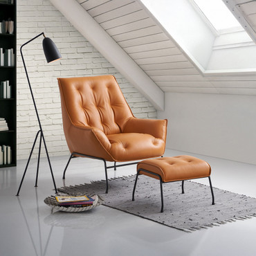Zusa Accent Chair & Ottoman / AC02379