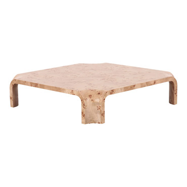 Nasrin - Modern Burl Square Coffee Table / VGOD-LZ-425C-L-BURL