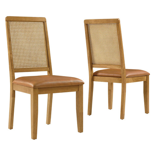 Arlo Vegan Leather Upholstered Faux Rattan and Wood Dining Side Chairs - Set of 2 / EEI-6802