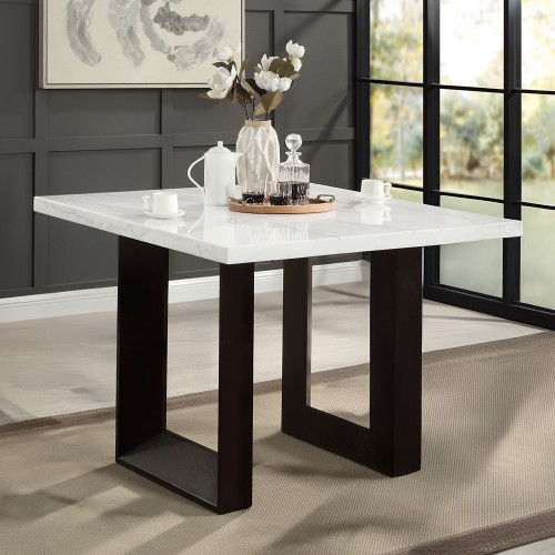 Edwyn Counter Height Table / DN03255