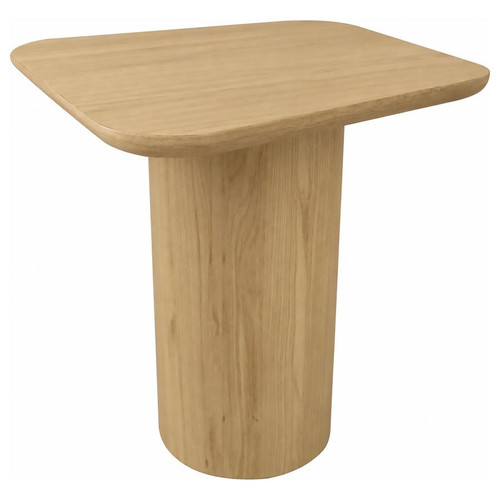 Lester Contemporary Square Wood End Table with Oak Veneer Honey Oak / CS-704937