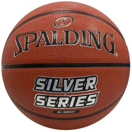 Spalding Silver Series Outdoor Basketball - Size 7