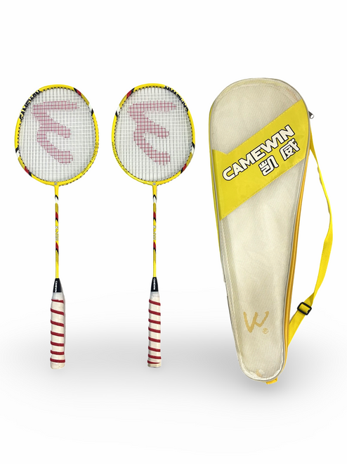 Titan 2 Rackets Badminton Set with a Carrying Case