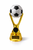 40 cm Classic Football Trophy