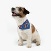 small jack russell terrier wearing a bandana; design is Boots and Sea Stars Dog Bandana by Saltsy