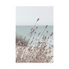 Coastal Breeze II - Neutral Canvas Wall Art