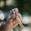 Fum Smokeless Device