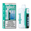 Adjust 20mL Rechargeable Disposable 5% 40k Puffs Miami Mint
