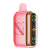 Geek Bar Pulse 2 25K Disposable Watermelon Ice