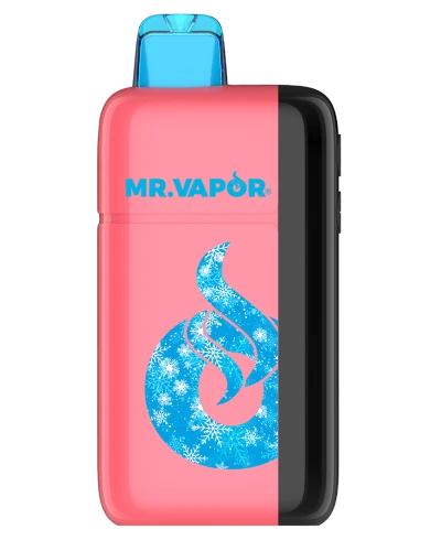 Mr. Vapor Arctic Disposable