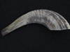 28 cm Tan Ram's Horn Shofar