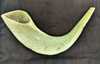 Size 5 Ram's Horn Shofar