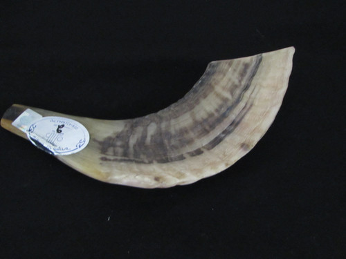 28 cm Tan Ram's Horn Shofar