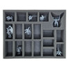40k Blood Angels Sanguinor and Sanguinary Guard 2024 Foam Tray (BFL-2)