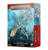 Stormcast Eternals: Stormdrake Guard / Knight-Draconis