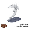 Dystopian Wars: Order Colossus Squadrons