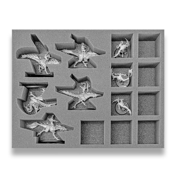 Age of Sigmar Hedonites of Slaanesh 5 Slickblade/Blissbarb Seeker 9 Slaangor Fiendbloods Foam Tray (BFL-2.5)