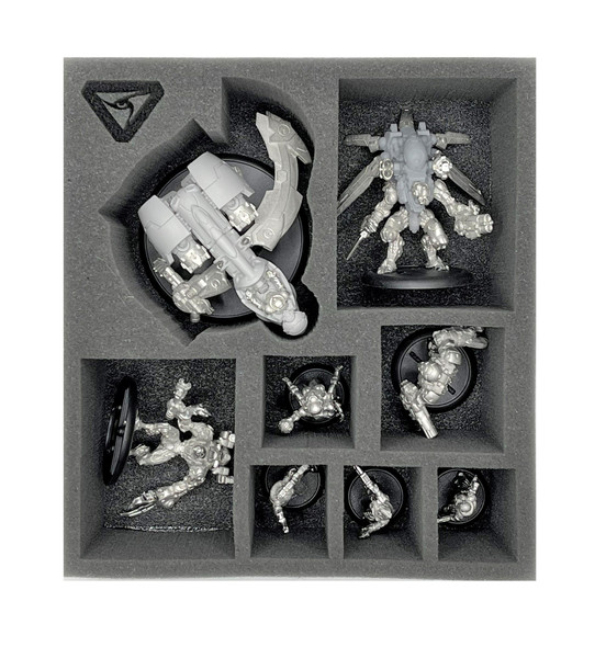 (Warcaster) Aeternus Continuum Command Group with Scythe Half Foam Tray (PP.5-3)