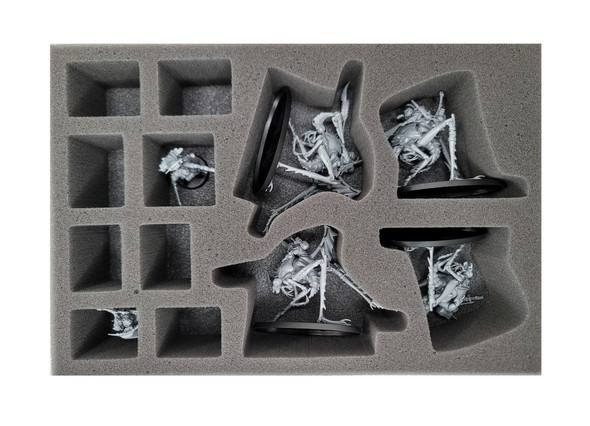 Necromunda: Ash Wastes Nomads 4 Dustback Helamites and Troops Foam Tray (BFS-2)